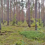 Ferienhaus Itzinger By Interhome Ziesar