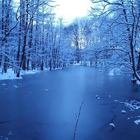 Itzinger By Interhome *