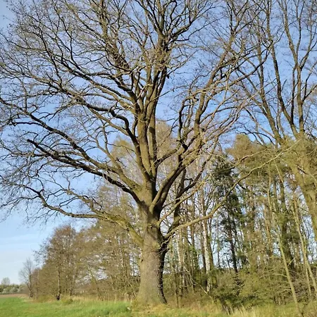 Itzinger By Interhome