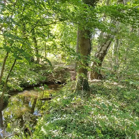 Itzinger By Interhome * Ziesar