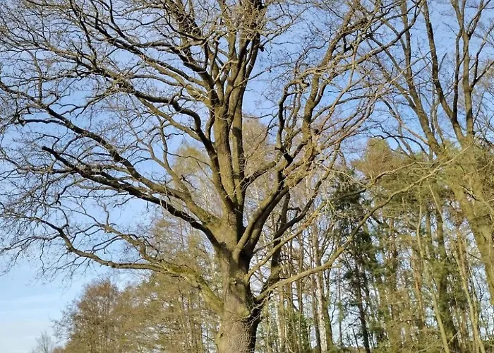 Itzinger By Interhome