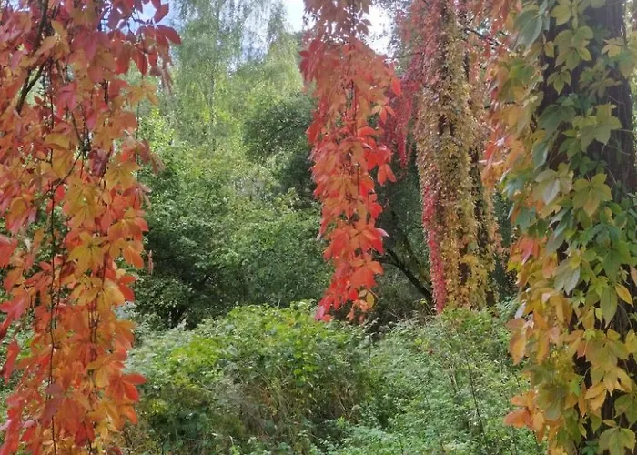 Itzinger By Interhome 別荘 *