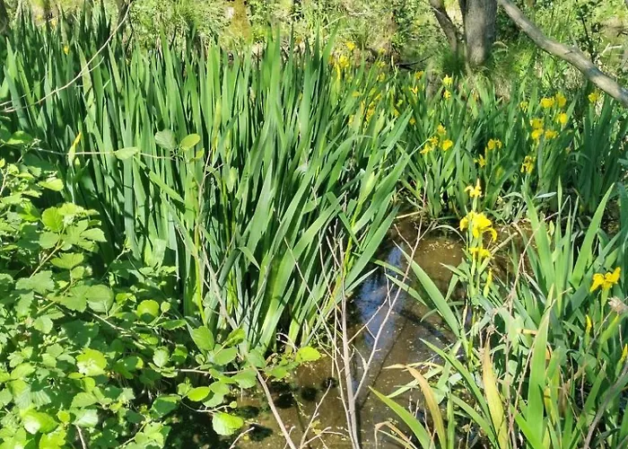 Itzinger By Interhome