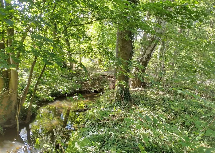 Itzinger By Interhome * ツィーザル