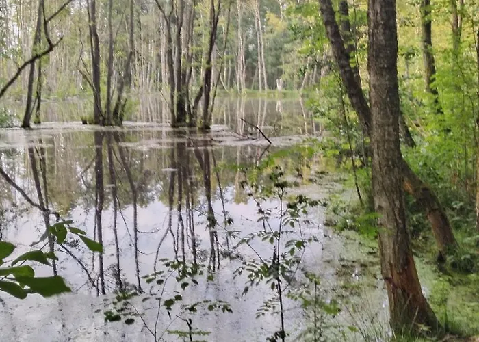 Itzinger By Interhome Holiday home