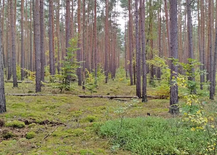 別荘 Itzinger By Interhome ツィーザル